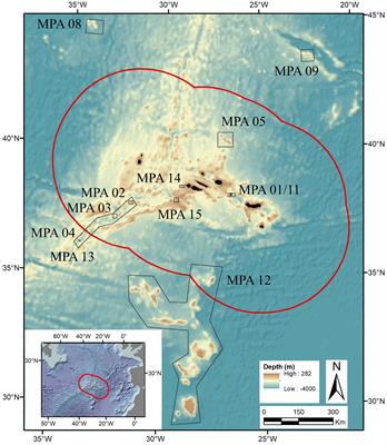 FUN Azores: a FUNctional trait database for the meio-, macro-, and megafauna from the Azores Marine Park (Mid-Atlantic Ridge)